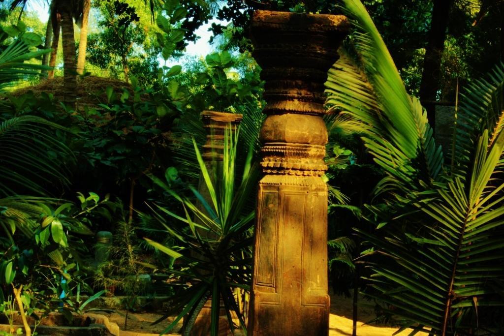 Nirvana Nature Hotel Gokarna  Kültér fotó