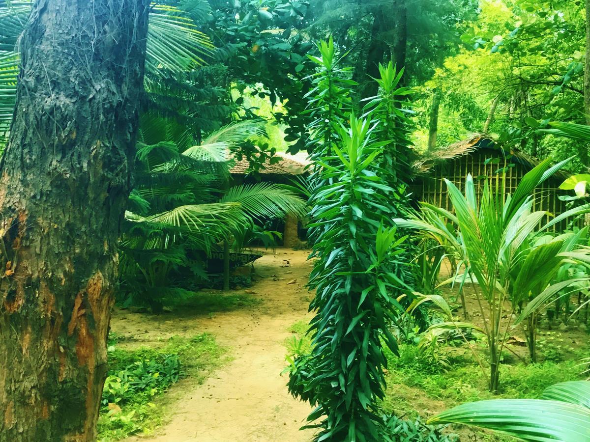 Nirvana Nature Hotel Gokarna  Kültér fotó